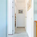 Basic Comfort Gran Reserva 0060 Apartmán *